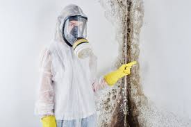 Mold Removal & Remediation